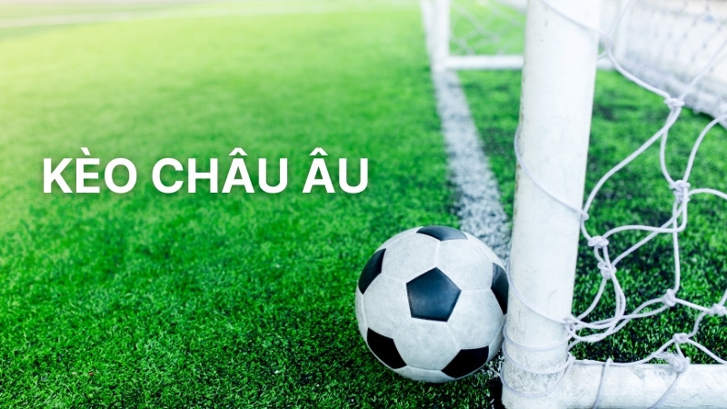 Kèo Châu Âu: Hướng Dẫn Đọc Và Phân Tích Tỷ Lệ Chuẩn Xác 9 Kèo Châu Âu: Hướng Dẫn Đọc Và Phân Tích Tỷ Lệ Chuẩn Xác