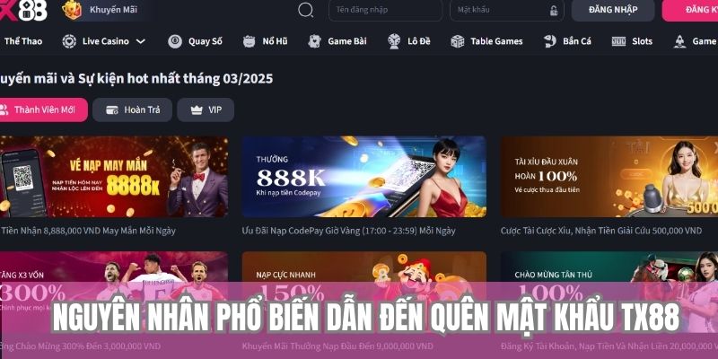 Nguyên nhân phổ biến khiến người dùng quên mật khẩu TX88