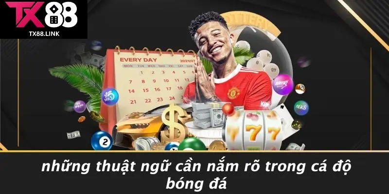 Những Thuật Ngữ Cần Nắm Rõ Trong Cá Độ Bóng Đá